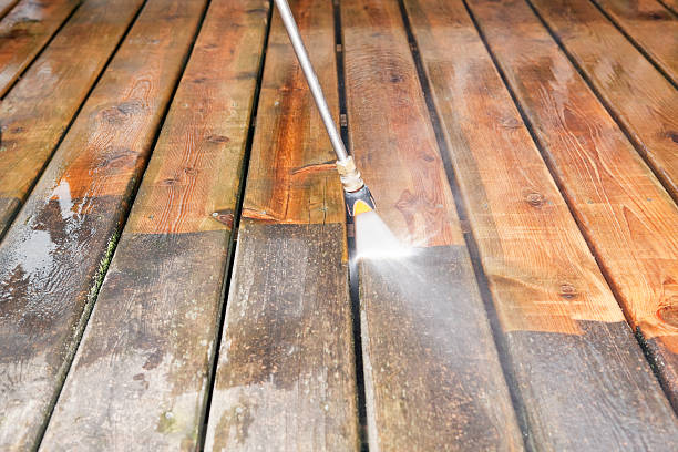 Animal Enclosure Cleaning in Rowland, NC